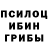 Псилоцибиновые грибы Magic Shrooms vgdc