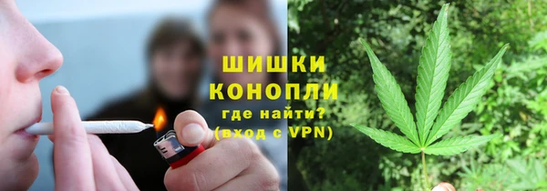 трава Алзамай